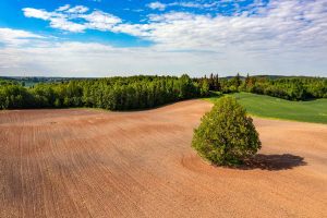 Aerial view of underdeveloped land