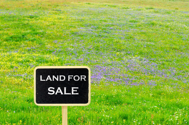 A sale sign standing on a grassy field with flowers