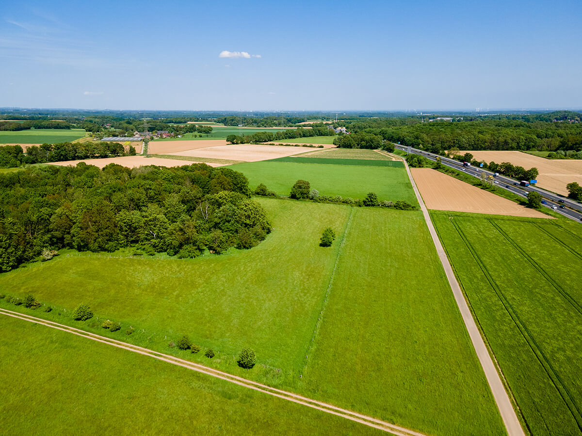 An aerial view of fields