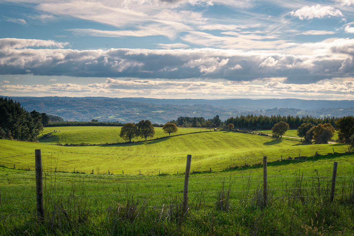 A piece of rural land