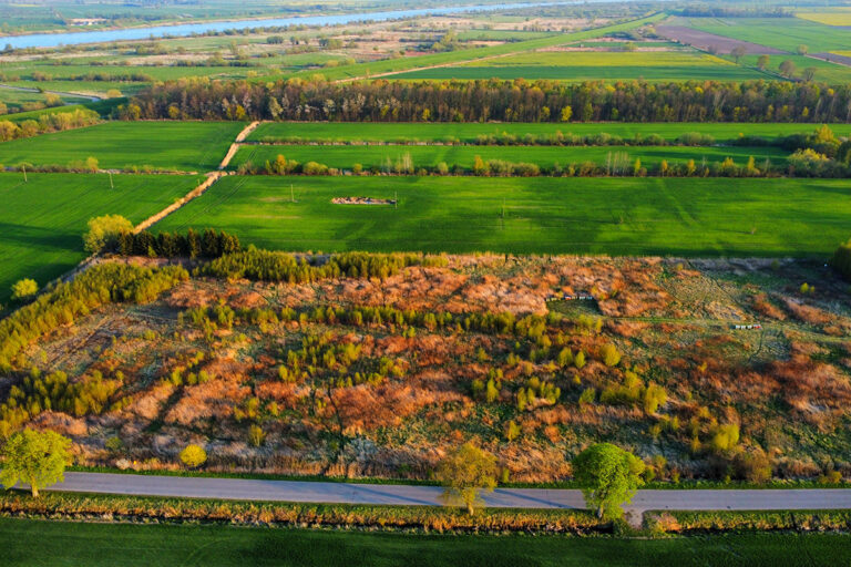 Aerial view of a large acre of green land