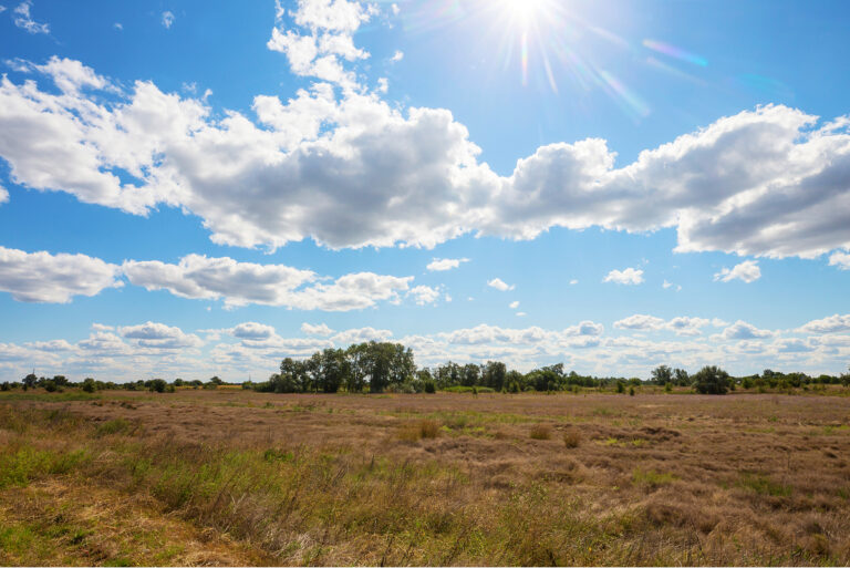 A large area of undeveloped land