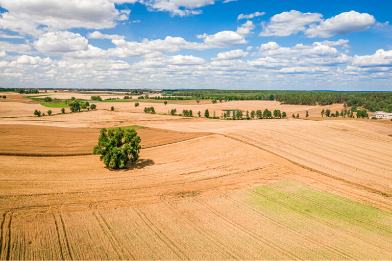 A large area of undeveloped land