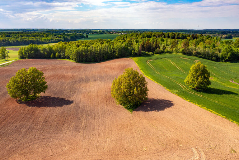 Aerial view of raw land