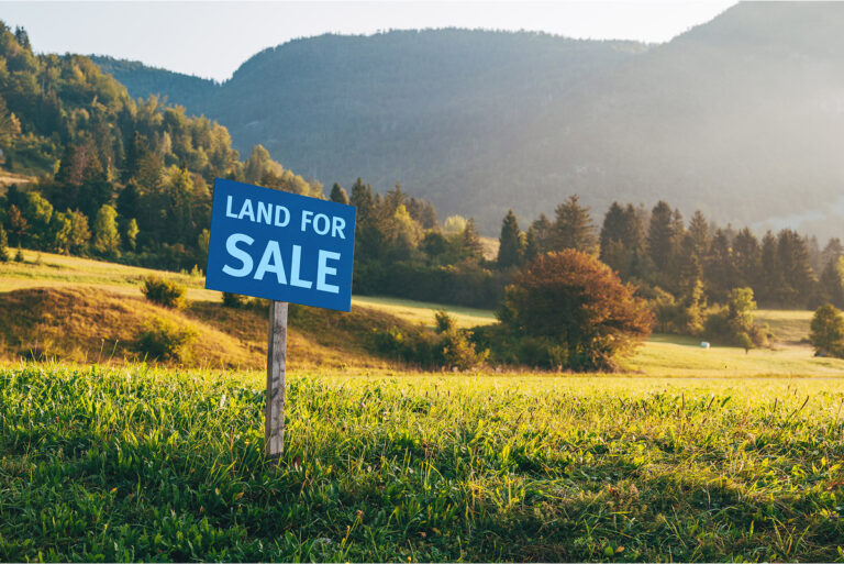 Land with a "LAND FOR SALE" sign