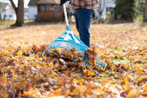 A man clearing fallen leaves on his property