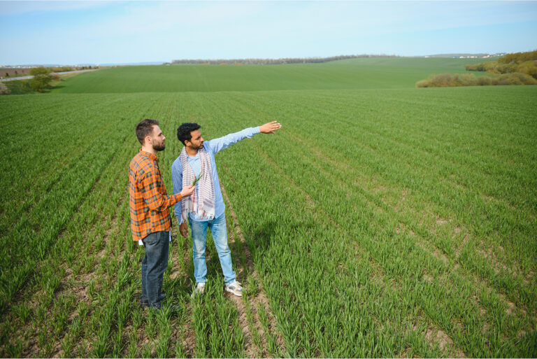 Two men standing and overlooking an empty lot of land