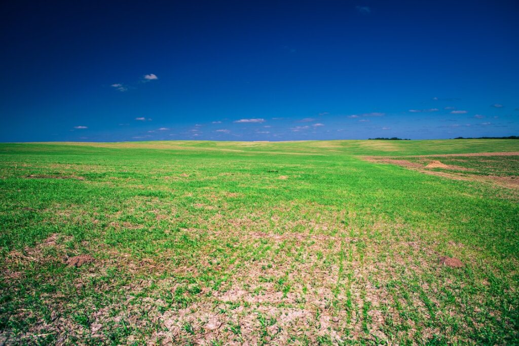 Unimproved Land: Meaning and Challenges | SRC Land