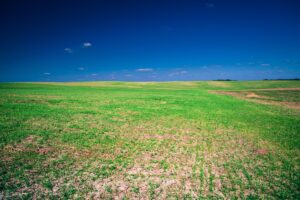 Unimproved land under a blue sky