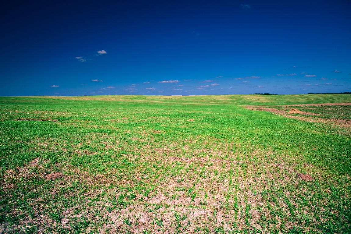 Unimproved Land: Meaning and Challenges | SRC Land